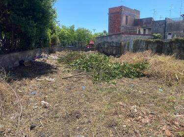 foto principale del terreno