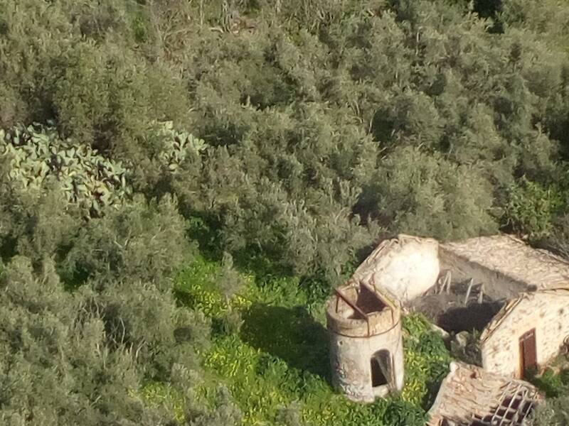 immagine annuncio 3 di 4