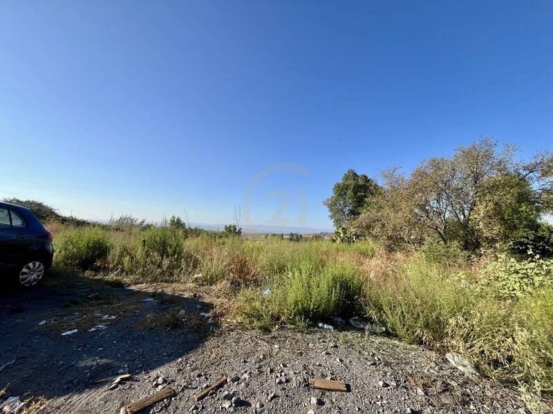 foto principale del terreno