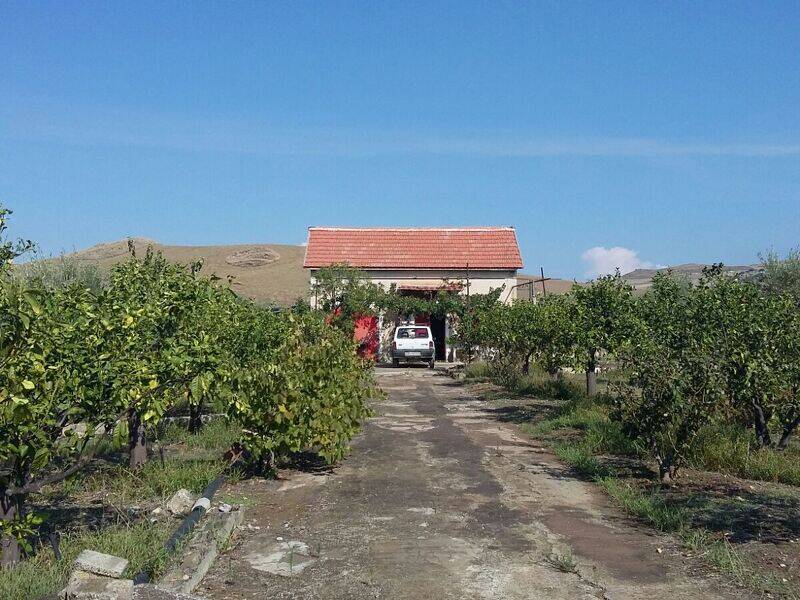 foto principale del terreno