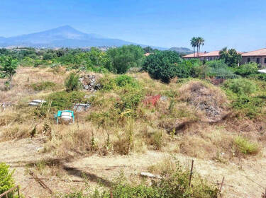 foto principale del terreno