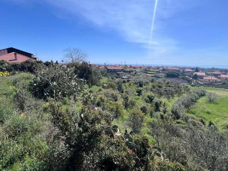 foto principale del terreno