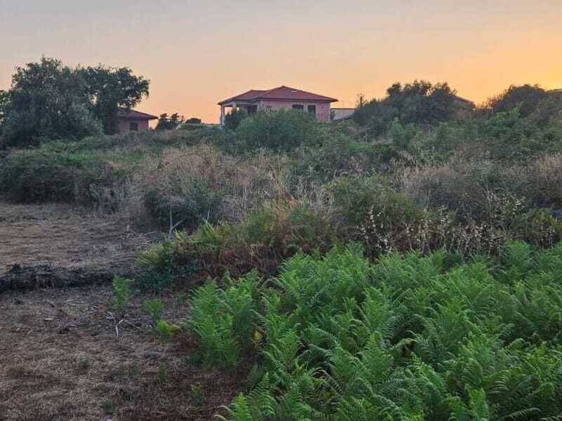 foto principale del terreno