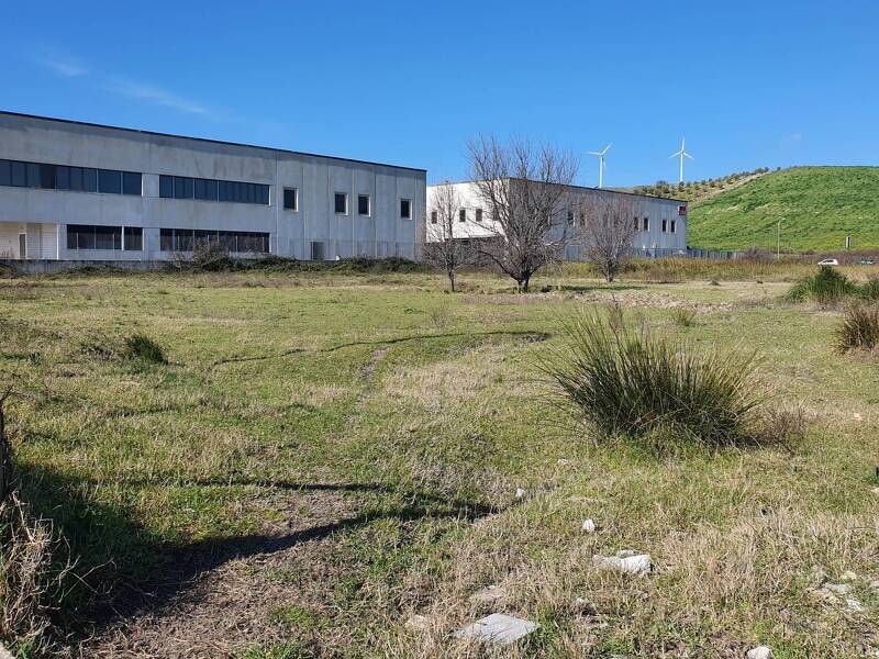 foto principale del terreno