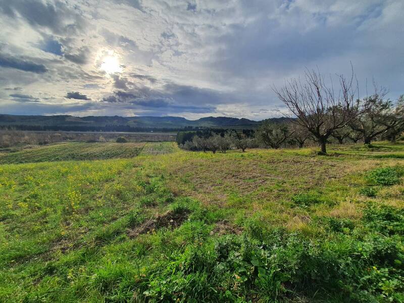 foto principale del terreno