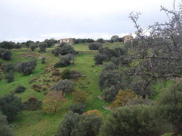 foto principale del terreno