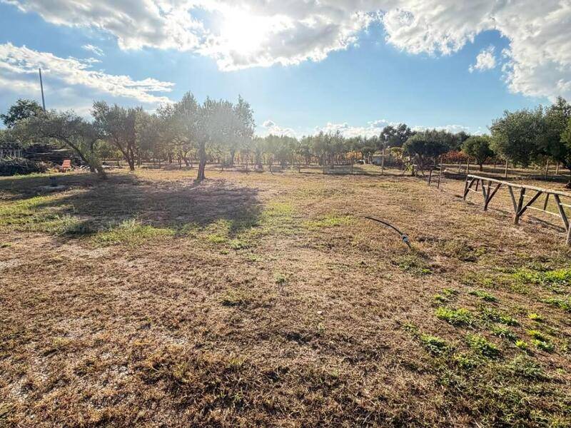 foto principale del terreno
