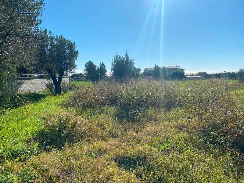 foto principale del terreno