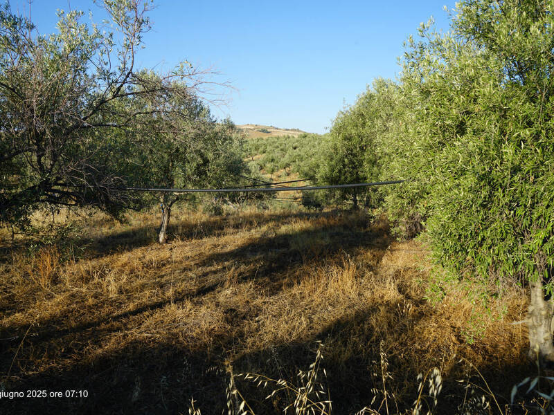 foto principale del terreno