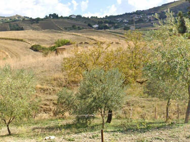 foto principale del terreno