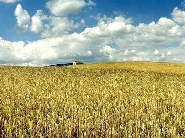 foto principale del terreno