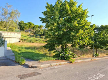 foto principale del terreno