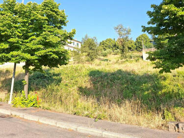 foto principale del terreno