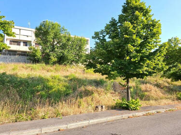 foto principale del terreno