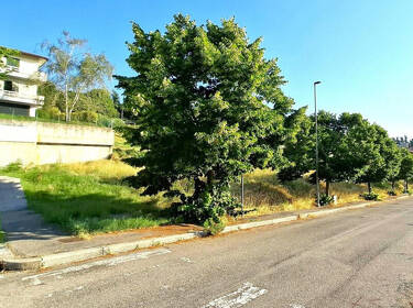 foto principale del terreno