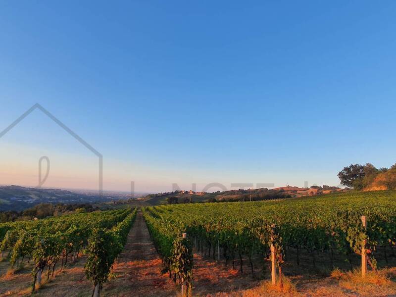 foto principale del terreno