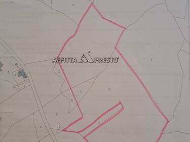 foto principale del terreno