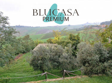 foto principale del terreno