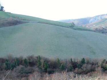 foto principale del terreno