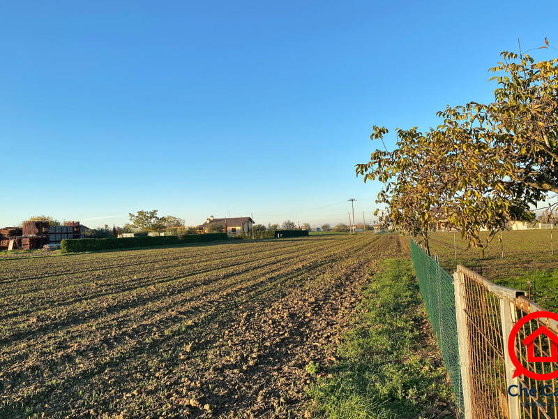 foto principale del terreno