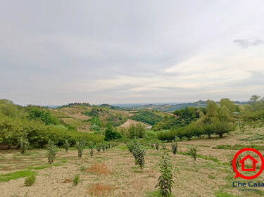 foto principale del terreno