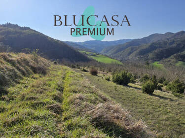 foto principale del terreno