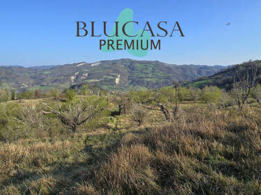 foto principale del terreno