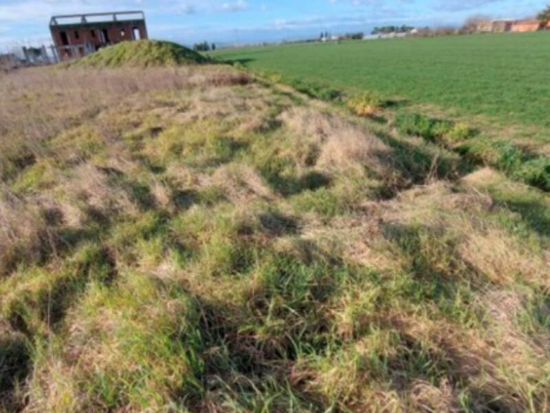 foto principale del terreno