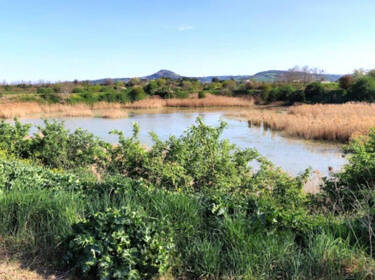 foto principale del terreno