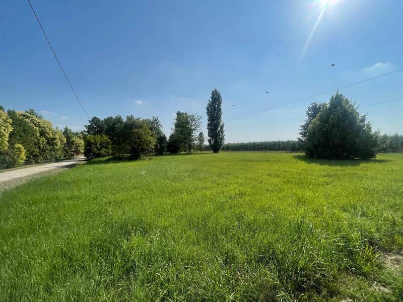 foto principale del terreno