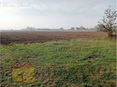 foto principale del terreno