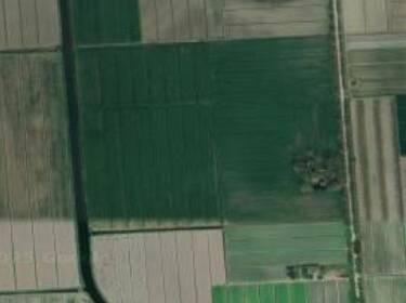 foto principale del terreno