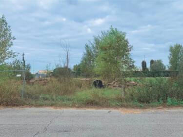 foto principale del terreno