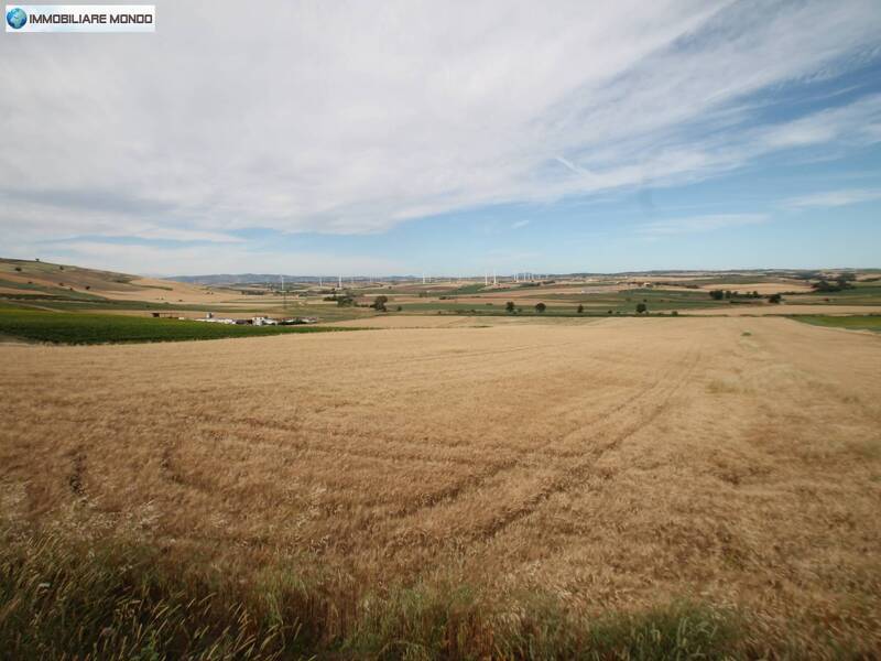 foto principale del terreno