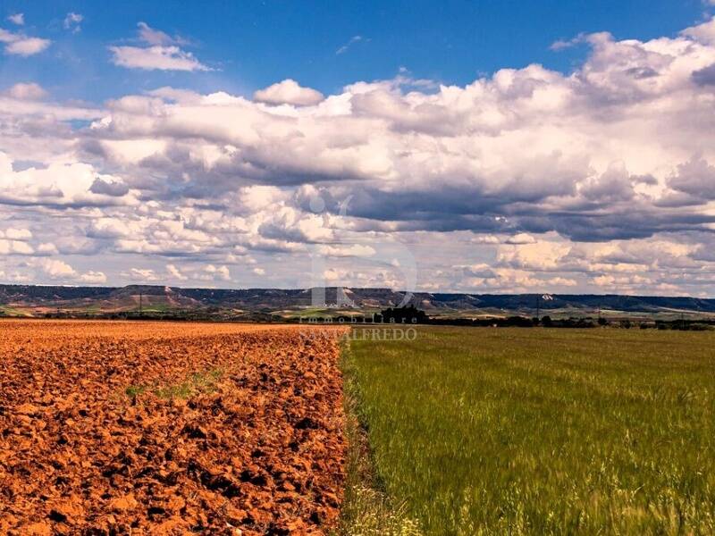 foto principale del terreno