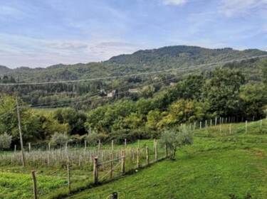 foto principale del terreno