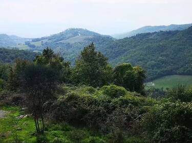 foto principale del terreno