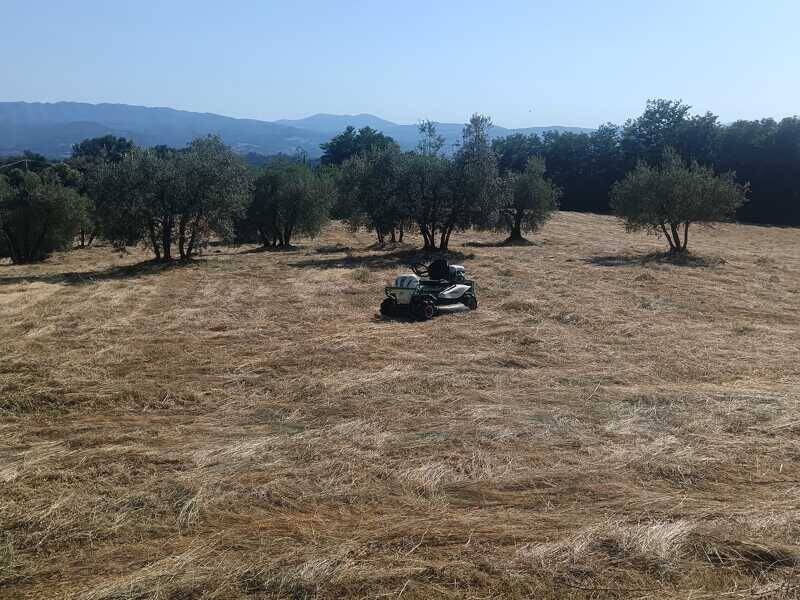 immagine annuncio 3 di 4