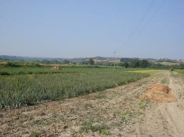 foto principale del terreno