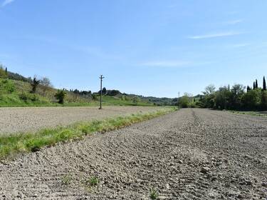 foto principale del terreno