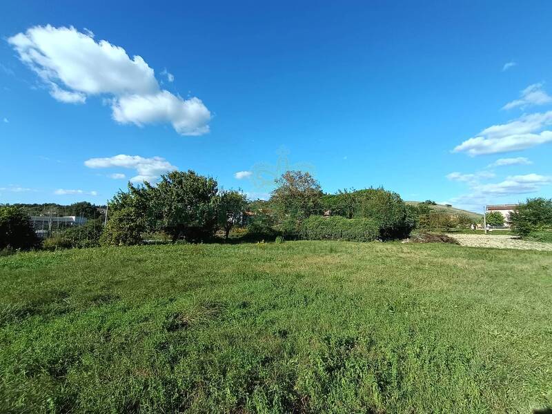 foto principale del terreno