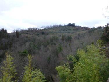 foto principale del terreno