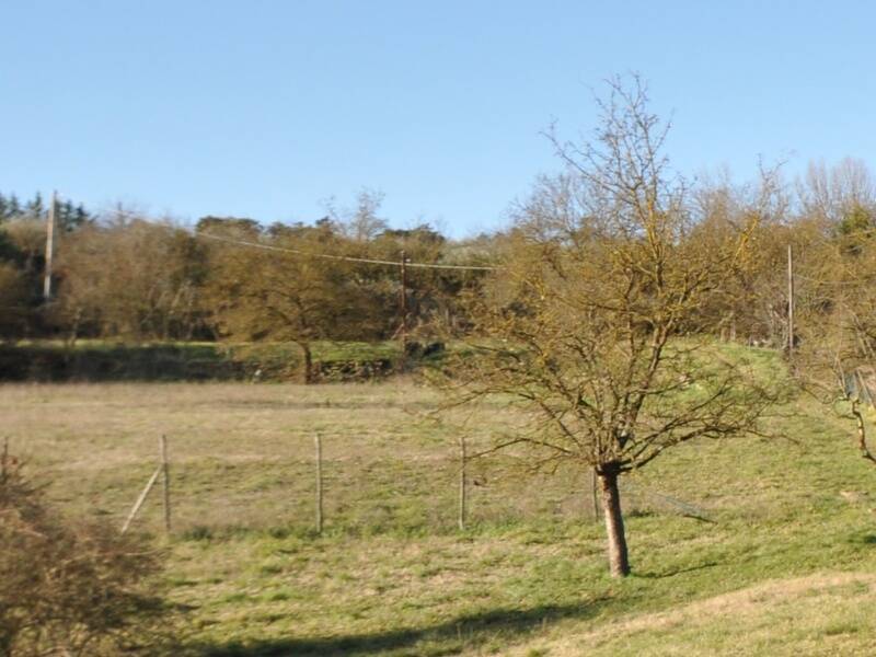 foto principale del terreno