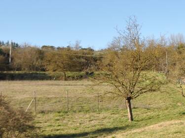 foto principale del terreno