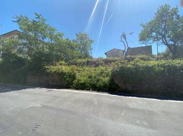 foto principale del terreno