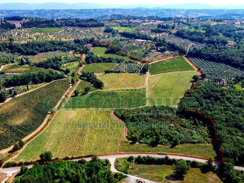 foto principale del terreno