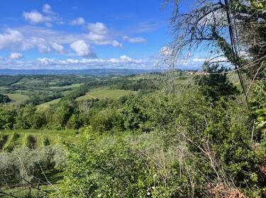 foto principale del terreno