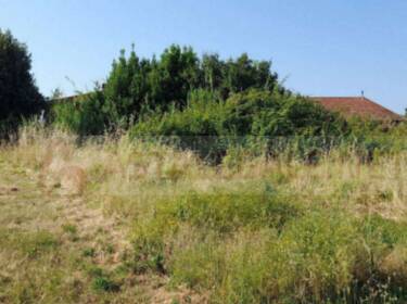 foto principale del terreno