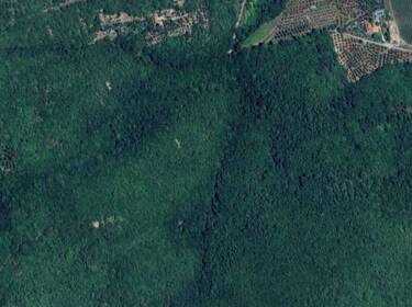 foto principale del terreno