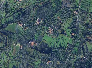 foto principale del terreno